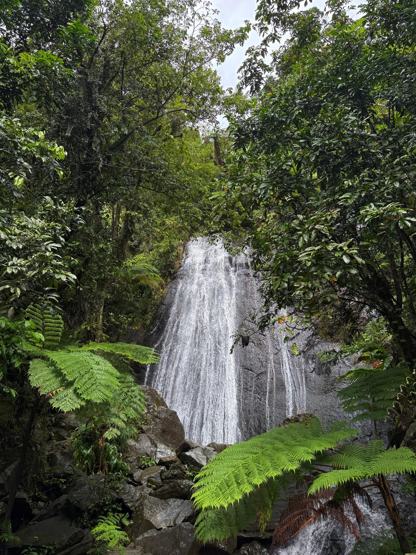 El Yunque National Forest view