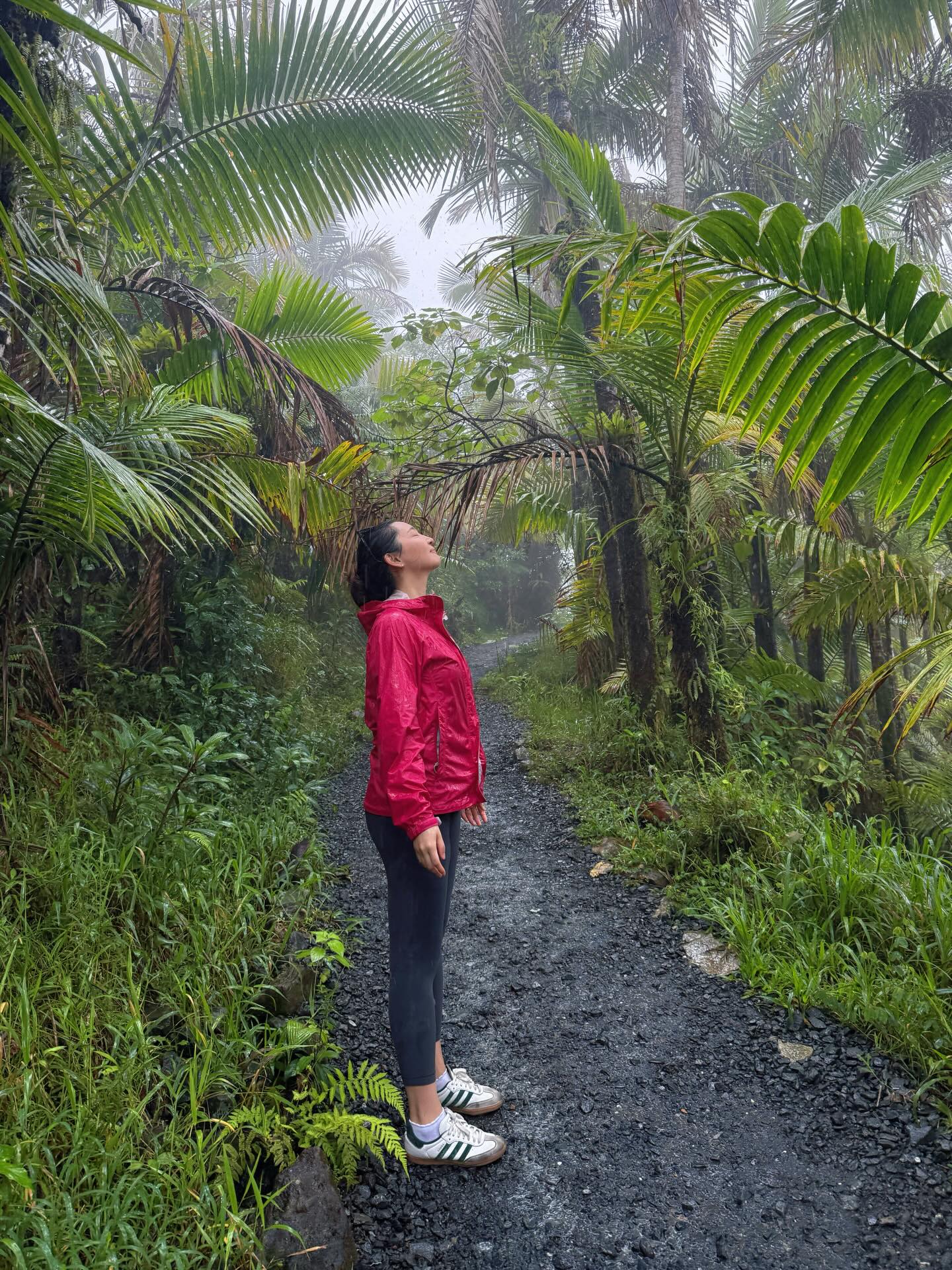 El Yunque National Forest Tour-Besucherfoto