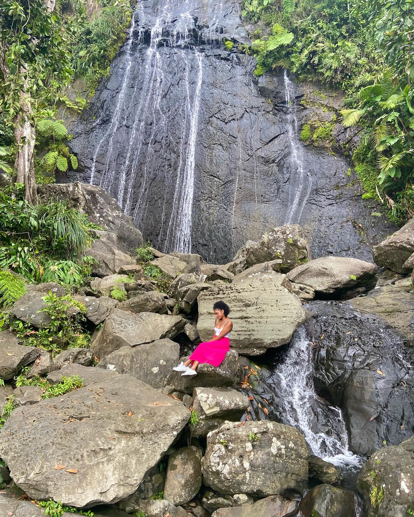 El Yunque National Forest Tour-Besucherfoto