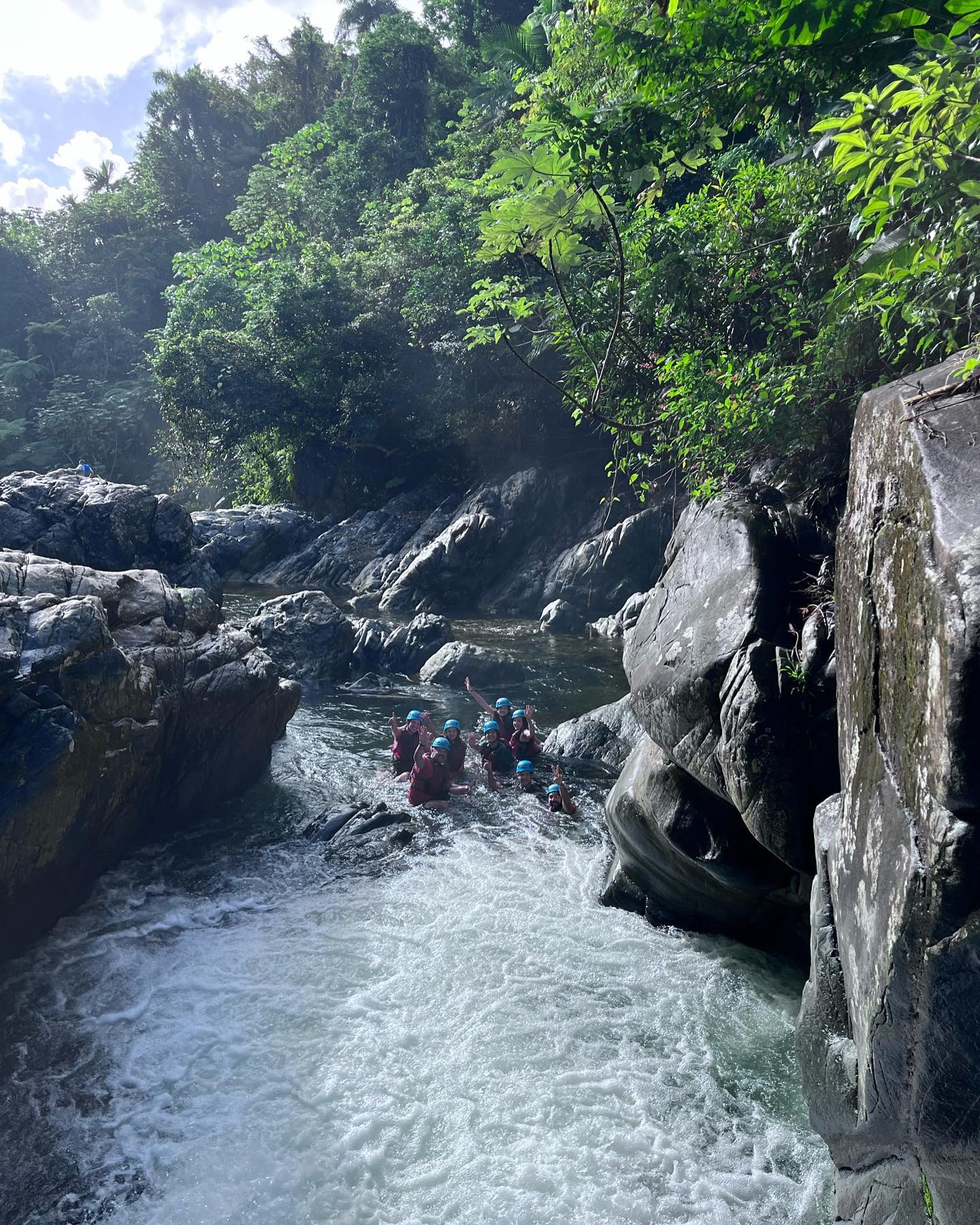 El Yunque National Forest Tour-Besucherfoto