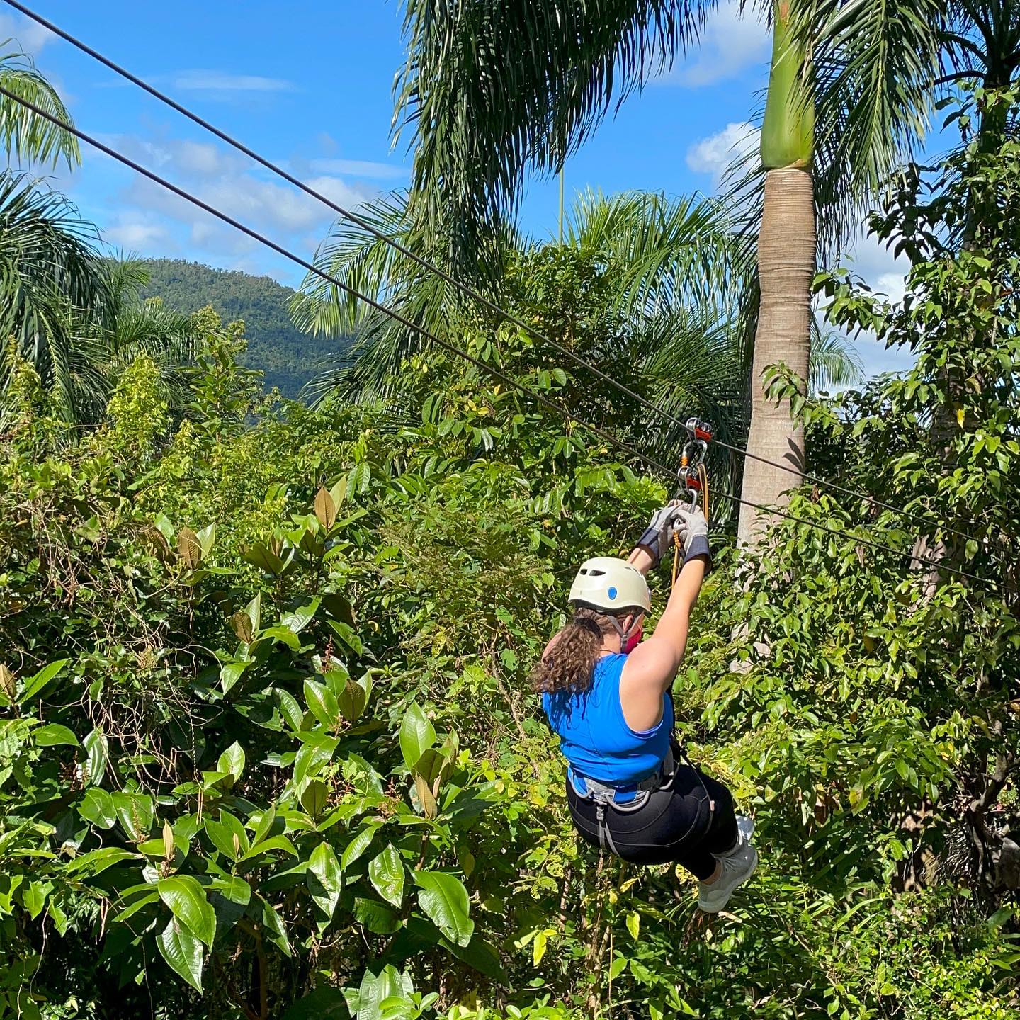 El Yunque National Forest Tour-Besucherfoto